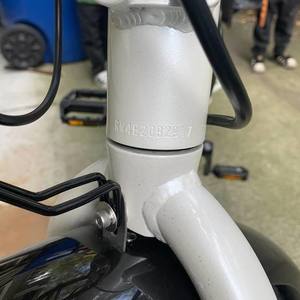 2020 Rad Power Bikes Rad Wagon 4 White