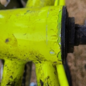 2021 Mongoose Bmx Green