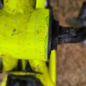 2021 Mongoose Bmx Green