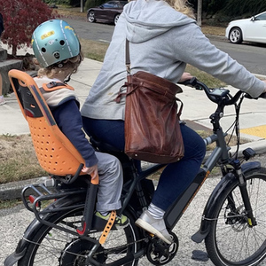 2019 Rad Power Bikes Citybike Silver, gray or bare metal