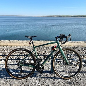 2020 Specialized Diverge Green
