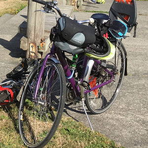 2007 Giant OCR 1 Purple