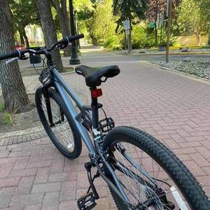 2020 Supercycle Supercycle Surge 26IN Silver, gray or bare metal