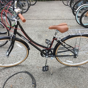 Retrospec 42cm Black