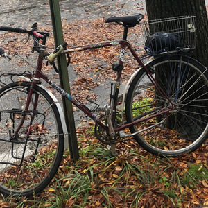 1986 Trek 520 Red