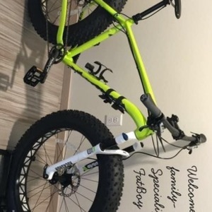 2015 Specialized Fat Boy Pro Green