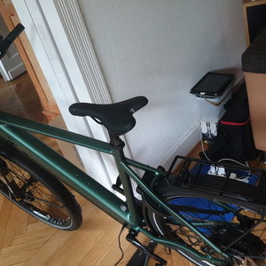 2021 Shimano Elektrofahrrad Green