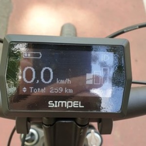 2021 Shimano Elektrofahrrad Green