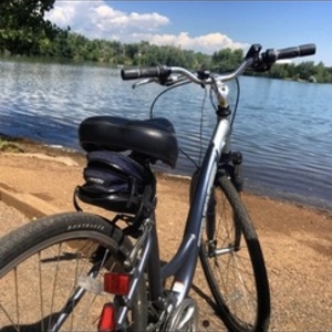 Trek 7200 Silver, gray or bare metal