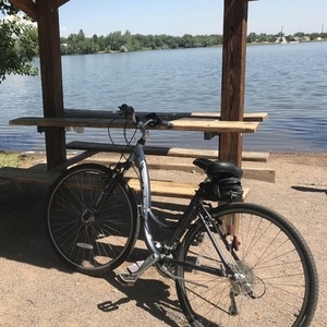 Trek 7200 Silver, gray or bare metal