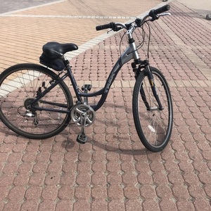 Trek 7200 Silver, gray or bare metal