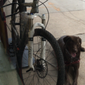 2011 Trek Rig Silver, gray or bare metal