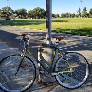 2020 Retrospec Fixie Bike Green