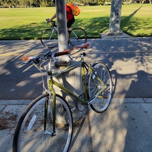 2020 Retrospec Fixie Bike Green