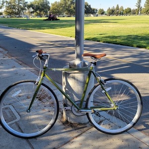 2020 Retrospec Fixie Bike Green