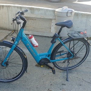 2020 Trek Low step Teal