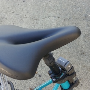 2020 Trek Low step Teal