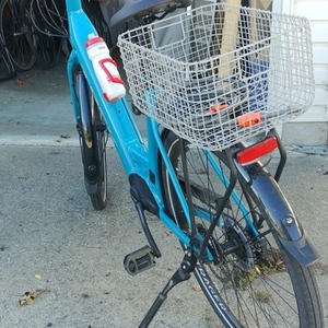 2020 Trek Low step Teal