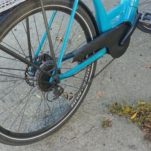 2020 Trek Low step Teal