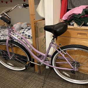 2021 Retrospec step through Purple