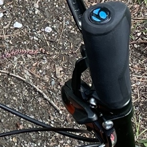 Trek Marlin Orange