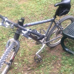 1998 Cannondale F900 Silver, gray or bare metal