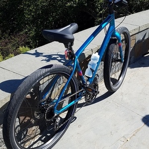 2018 Specialized S/O 19 Roll Elite TLNT Blue