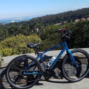 2018 Specialized S/O 19 Roll Elite TLNT Blue