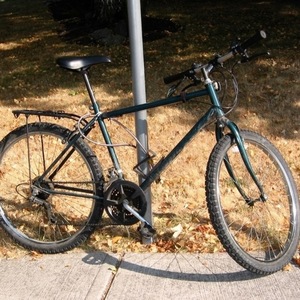 1996 Huffy Green