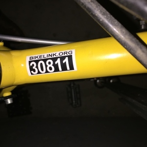 2014 Giant Painted Yellow Yellow or Gold