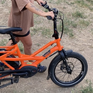 2019 Tern GSD S10 cargo bike (rear storage) Orange