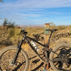 2019 Trek Fuel EX 8 Plus Black
