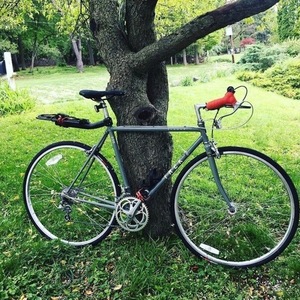 1987 Trek Elance 330 Silver, gray or bare metal