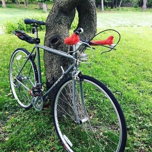 1987 Trek Elance 330 Silver, gray or bare metal
