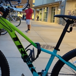 2022 Trek Alpha Silver Aluminum, internal routi... Yellow or Gold and Blue