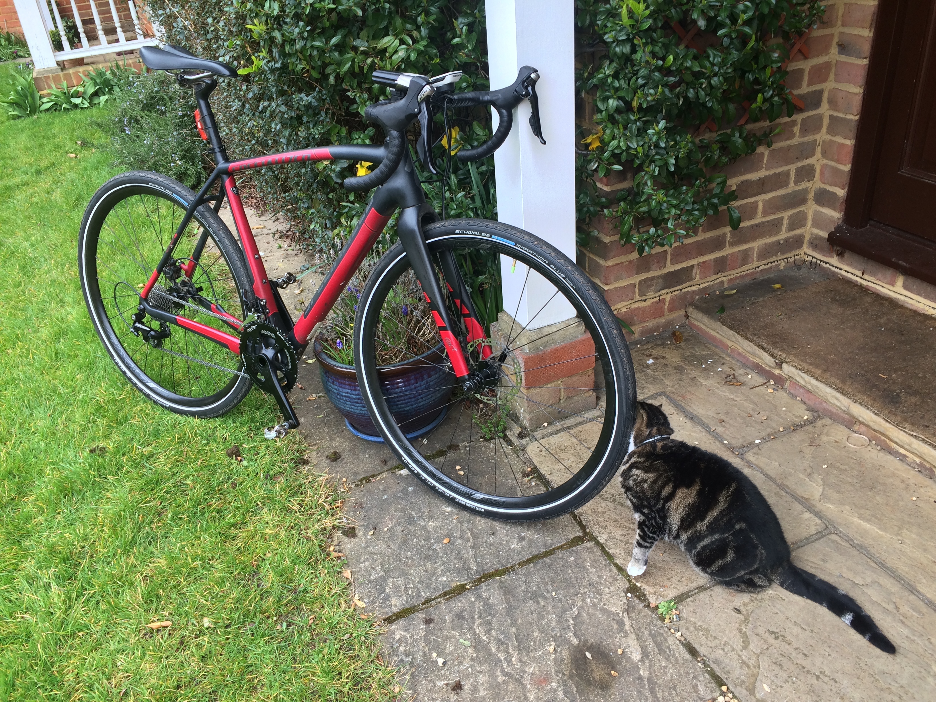 2015 Specialized Crux Elite EVO