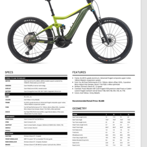 2021 Giant Giant Trance E+ Pro Silver, gray or bare metal, Black, and Red