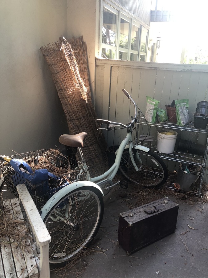 Tricycle photo