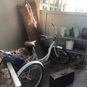 2016 Schwinn Adult trike tricycle Green
