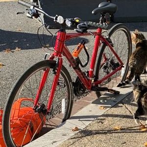 2020 Giant Escape 3 Red