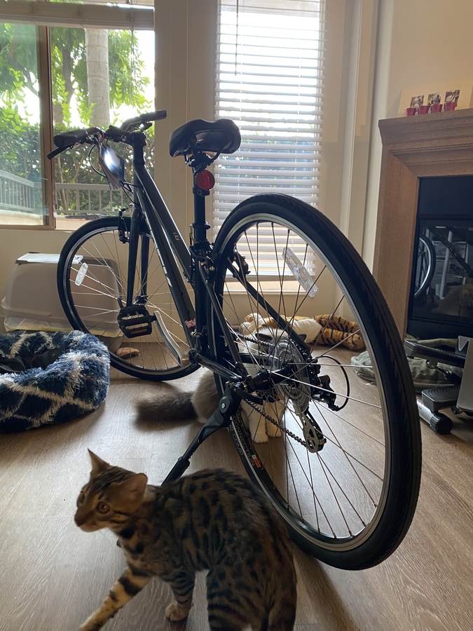 Bike photo