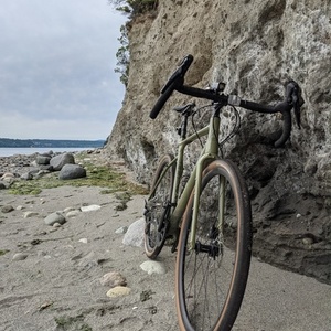 2021 Fuji Jari 1.1 Green