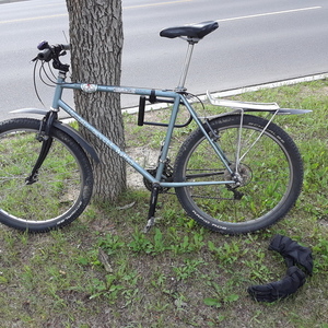 Moulden XC Hardtail Silver, gray or bare metal