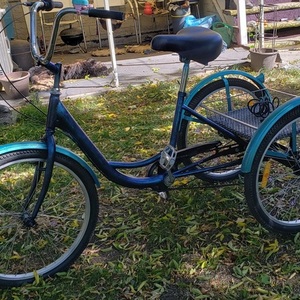 2020 Custom Adult tricycle tricycle Black, Blue, and Green