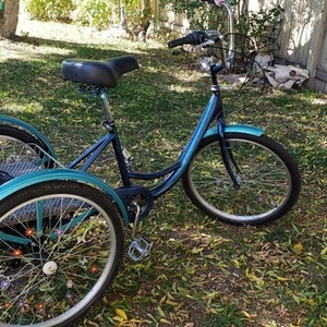 2020 Custom Adult tricycle tricycle Black, Blue, and Green