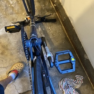 2021 Canyon bicycles Roadlite 7 Silver, gray or bare metal