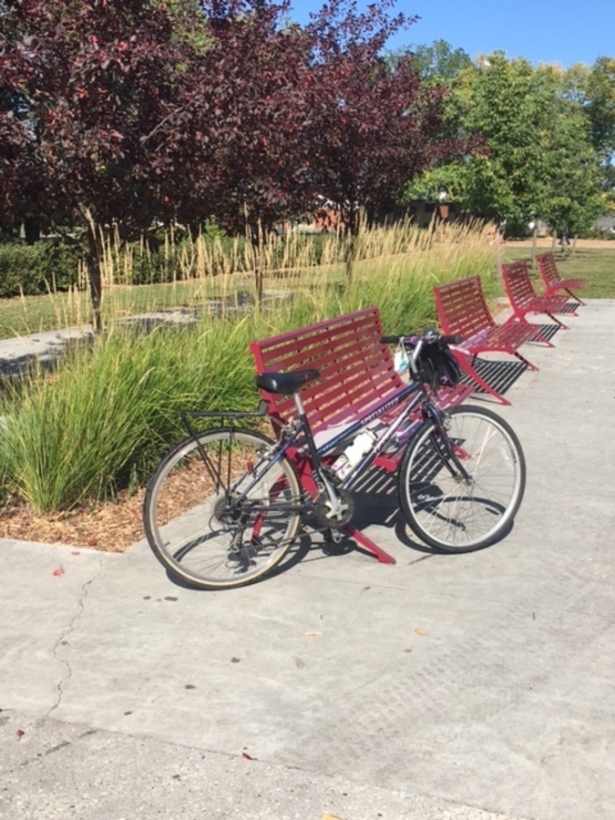 Bike photo