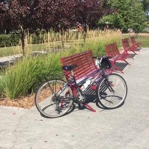 1995 Specialized Hardspt 5L HardRock SL 15.5 Purple