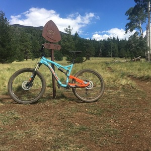 2016 Lapierre Zesty Blue and Orange