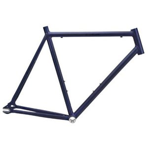 2012 Nashbar Nekkid Single Speed - Custom Ebike Blue